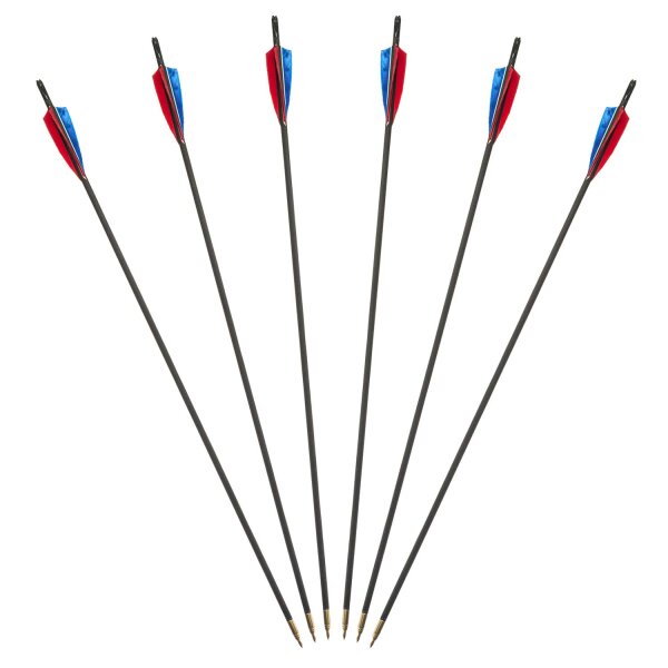 6er Pack Standard Holzpfeil mit 3 x einfarbige Federn Ausführung Durchmesser: 11/32 Spinewert: 41-45 Pfeillänge: 29 Zoll Nocke: Snap-On 11/32 3D Messingschraub - Pfeilspitze: 11/32 100 Grain Federgröße: 5 Zoll
