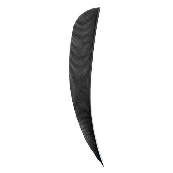 5 Inch Parabolic Natural Feather Solid Color RW Solid Color Feathers Black