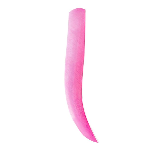 Naturfeder, volle Länge einfarbig RW Einfarbige Federn pink