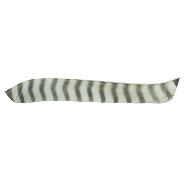 Natural feather, full length RW white barred