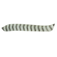 Naturfeder, volle Länge RW Weiss gestreift