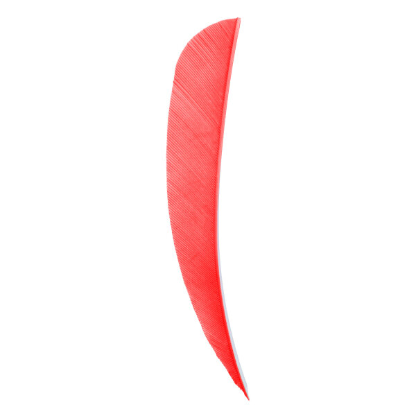 5 Inch Parabolic Natural Feather Solid Color RW Solid Color Feathers Red