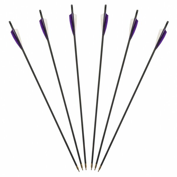 6er Pack Standard Holzpfeil mit 3 x einfarbige Federn Ausführung Durchmesser: 5/16 Spinewert: 31-35 Pfeillänge: 28 Zoll Nocke: Snap-On 5/16 3D Messingschraub - Pfeilspitze: 5/16 70 Grain Federgröße: 4 Zoll