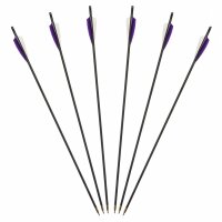 6er Pack Standard Holzpfeil mit 3 x einfarbige Federn...