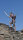 Long bow set rattan 58 inches light version LH