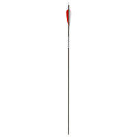 Standard Warrior carbon arrow v. Gold Tip with 4 inch natural fletching spine value 700 - maximum 30 inches (5.4 gpi)